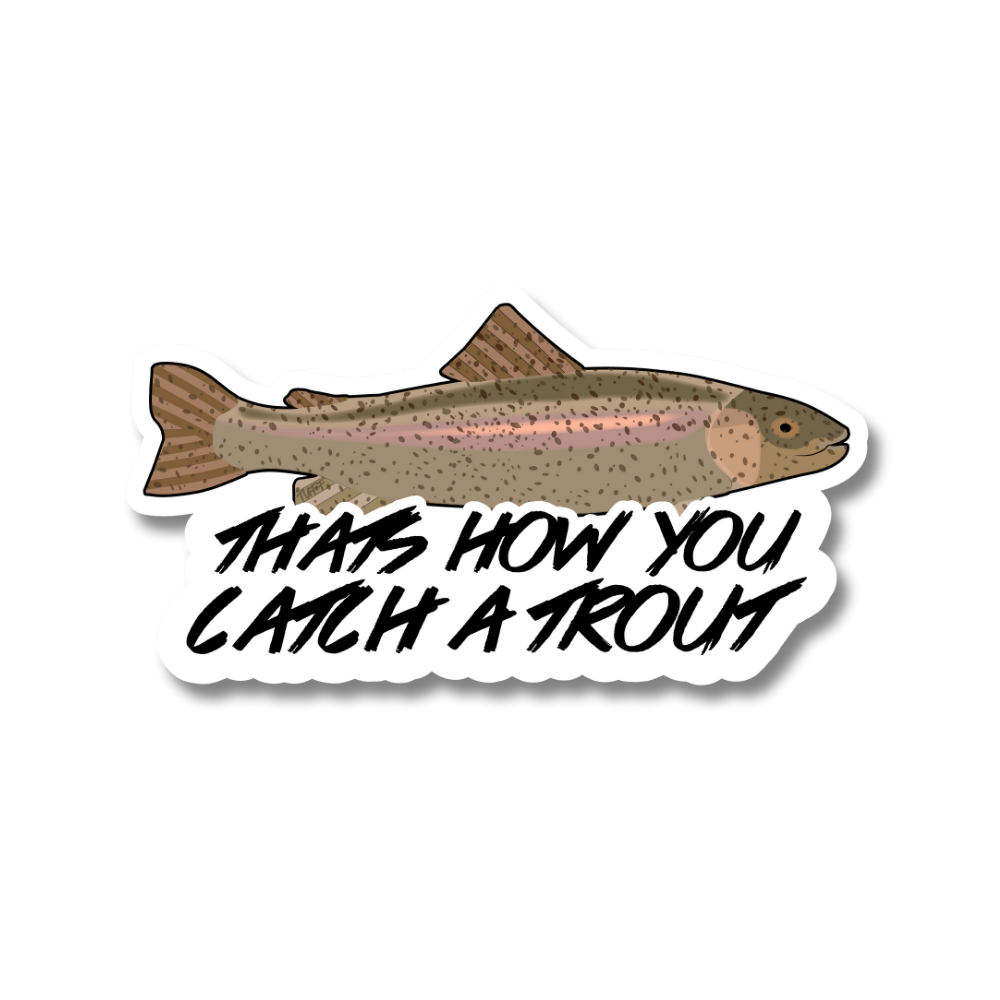 THAT'S HOW YOU CATCH A TROUT