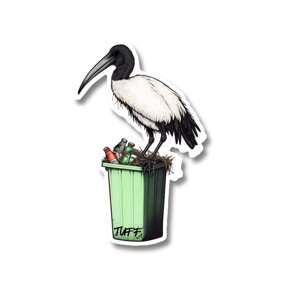 BIN CHICKEN